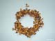 beadsDSC00029