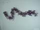 beadsDSC00045