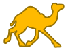 camel