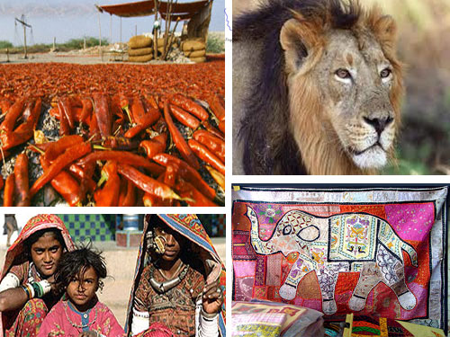 Gujarat