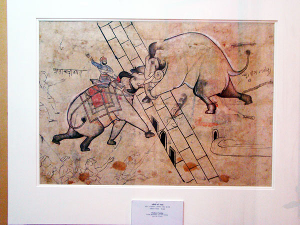 elephant fight