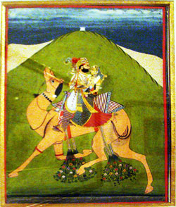 love on camel