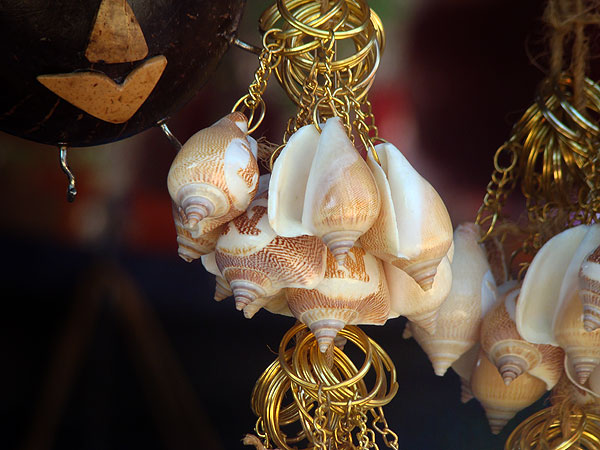 seashell crafts