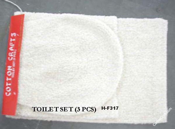 H-F317