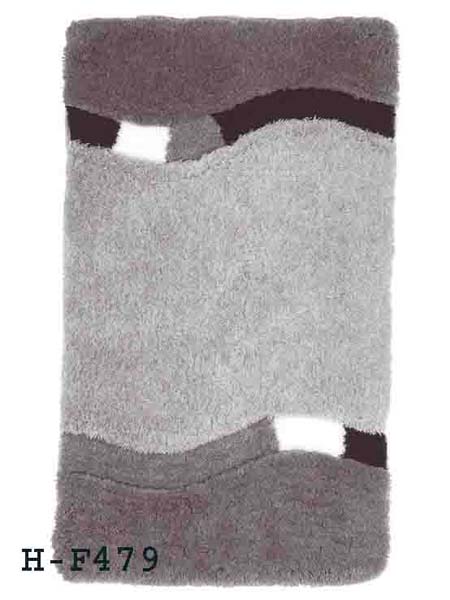 H-F479