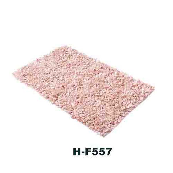 H-F557