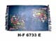 H-F 6733 E